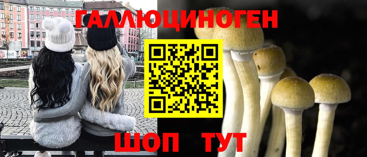 Галлюциногенные грибы мухоморы Сертолово