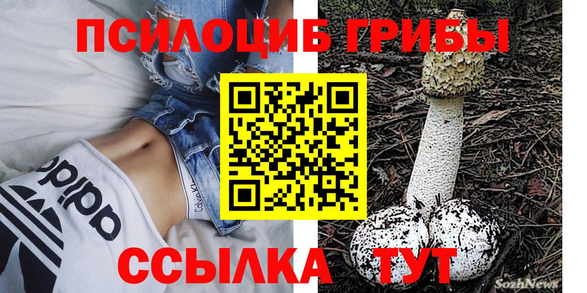 Псилоцибиновые грибы MAGIC MUSHROOMS  Галлюциногенные грибы ЛСД  Вход с VPN  Сертолово 